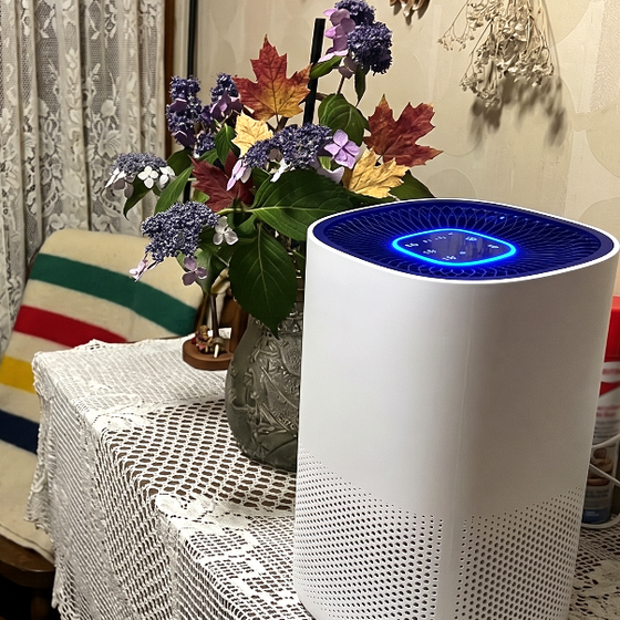 ruvalina_air_purifier_cosy_room